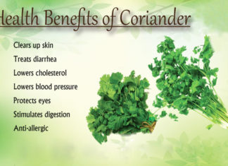 benefits of coriander