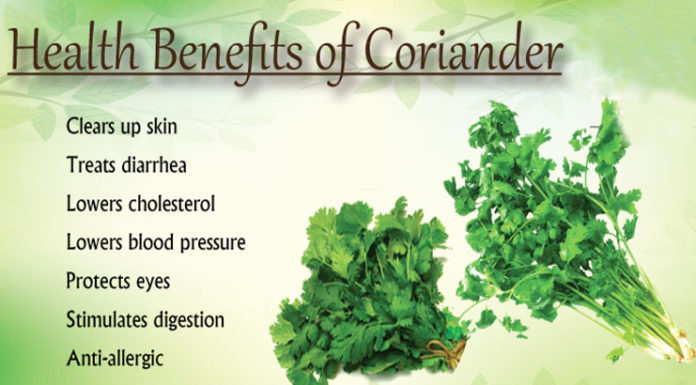 benefits of coriander