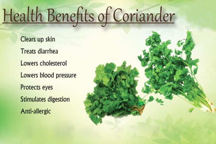 benefits of coriander