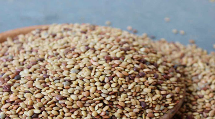 Horse Gram