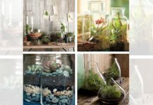 Indoor herb garden ideas