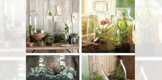 Indoor herb garden ideas