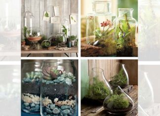 Indoor herb garden ideas