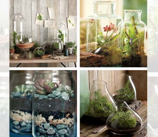 Indoor herb garden ideas