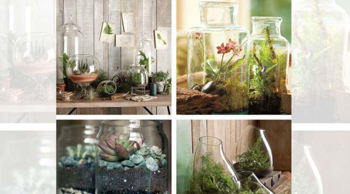 Indoor herb garden ideas