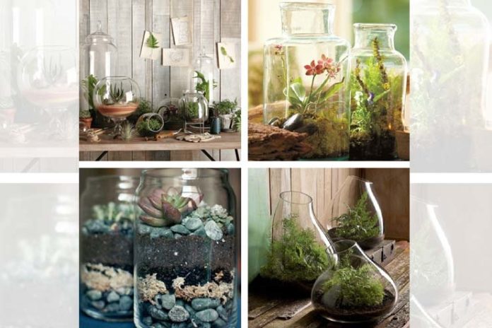 Indoor herb garden ideas