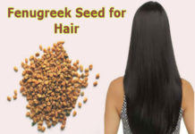 fenugreek for hair