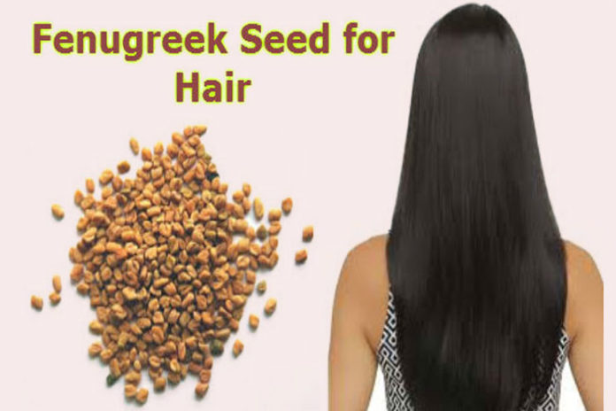 fenugreek for hair