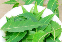 Benefits of Neem Leaves