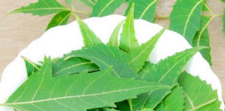 Benefits of Neem Leaves