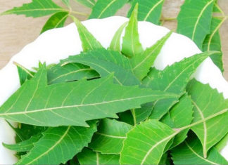 Benefits of Neem Leaves