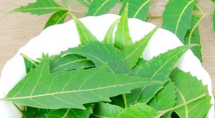 Benefits of Neem Leaves