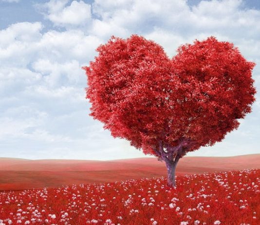 How To Make Your Honeymoon, Romantic And Special? What to do in Honeymoon