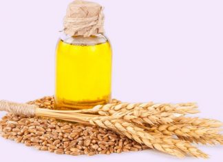 Wheat germ oil