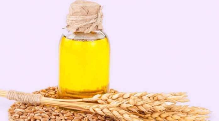 Wheat germ oil