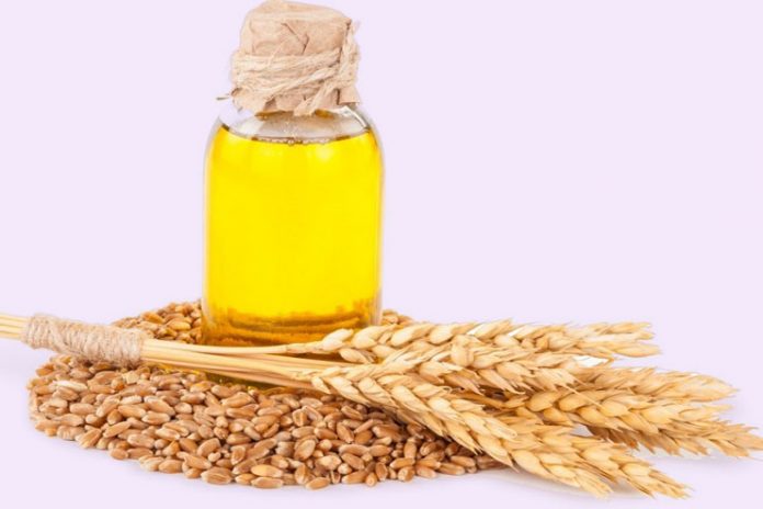 Wheat germ oil