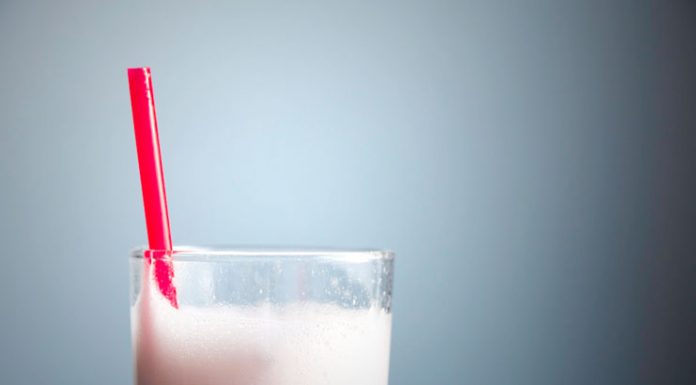 protein powder for women
