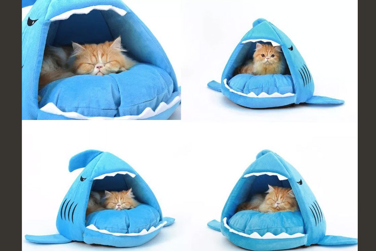 Shark Cat Cave