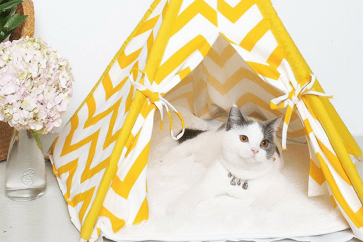 Tent Cat Cave