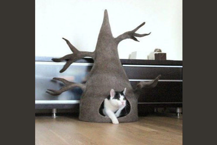 Tree cat cave