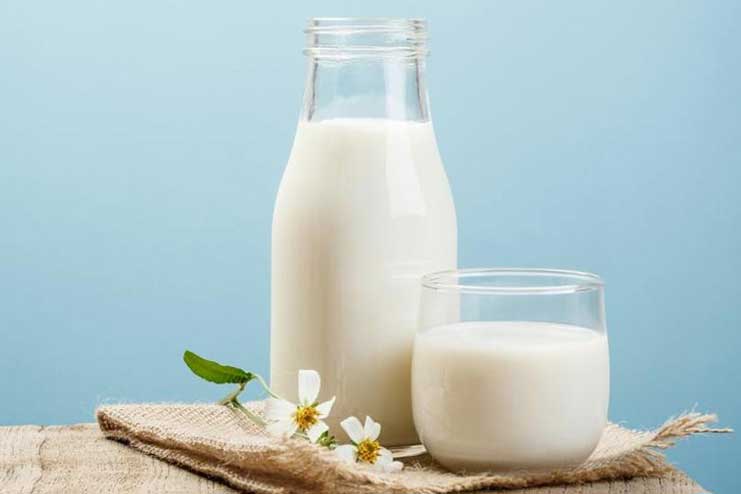 Plain-Milk