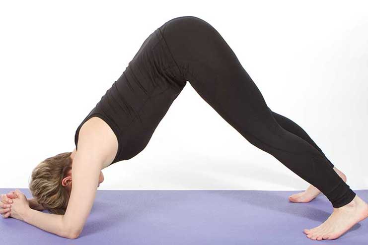 Dolphin-Pose-Ardh-Pincha-Mayurasana