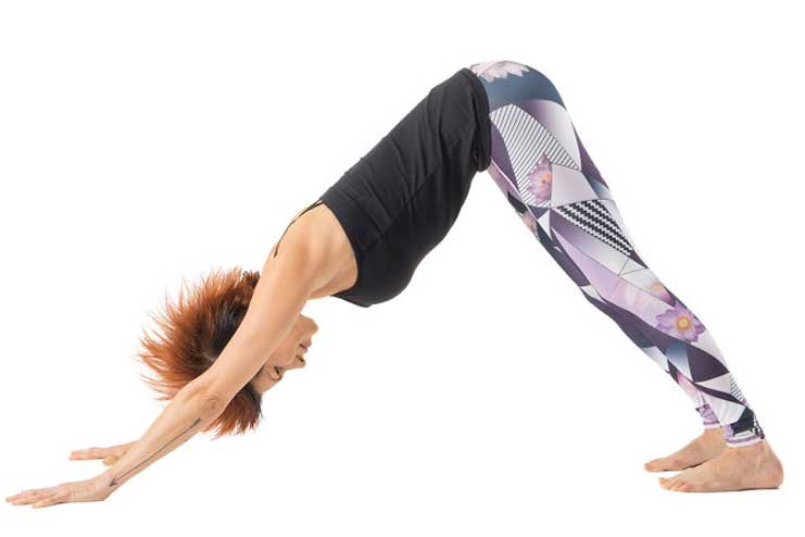 Downward-dog-position-Adho-Mukha-Svanasana