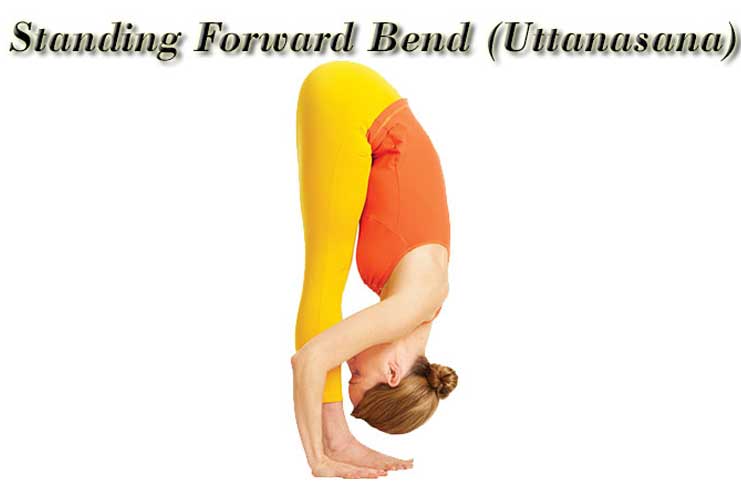 Standing-Forward-Bend-Pose-Uttanasana