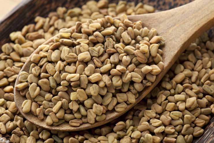 Fenugreek-Seeds