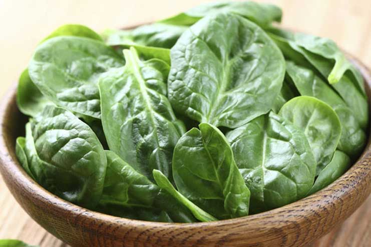 Green-Leafy-vegetables