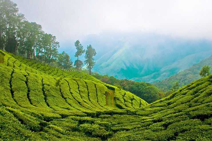 Munnar