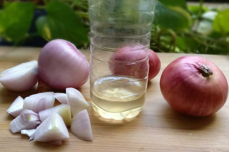 Onion-juice-and-coconut-oil
