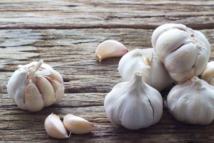 Garlic for Toenail Fungus 