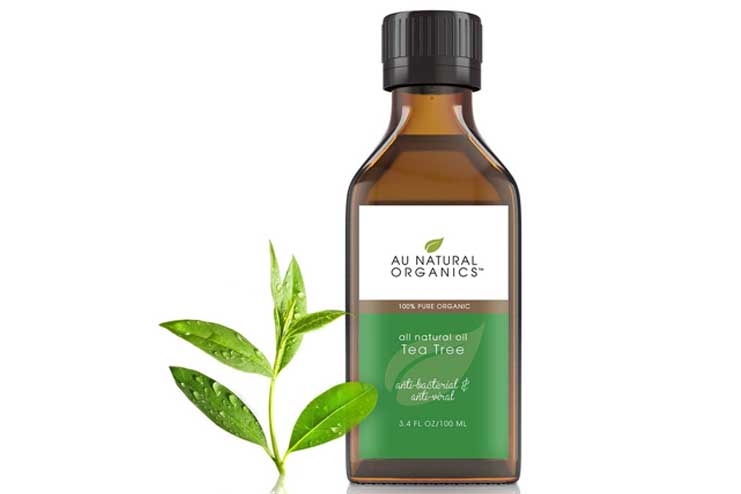 Tea-Tree-Oil