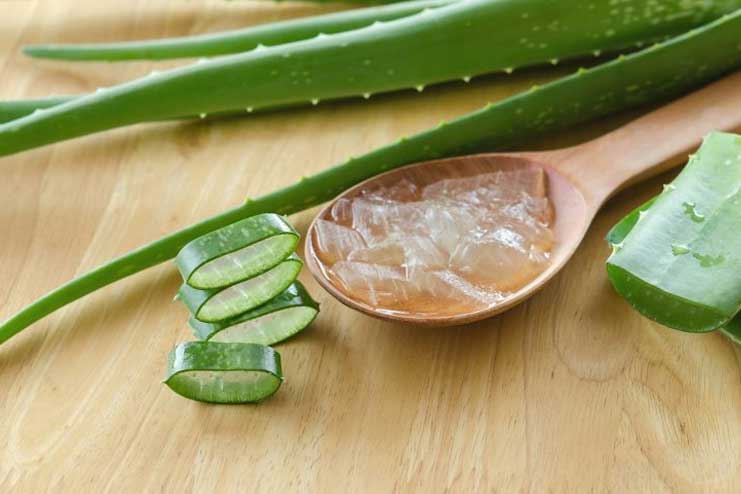 Aloe-vera-Gel