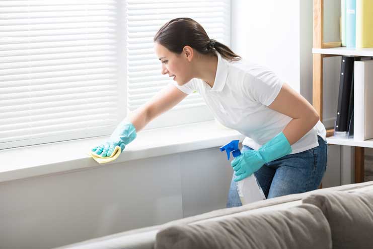 Household Chores: Dusting out