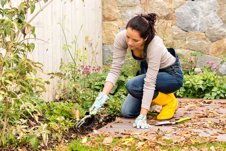 Gardening: Household Chores 