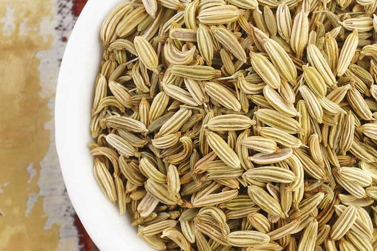 Fennel Seeds Remedy to Increase your Breast Size