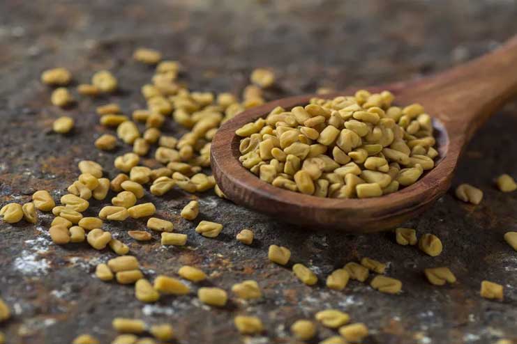 Fenugreek Remedies to Increase your Breast Size