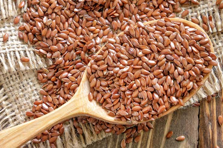 Flax-seeds