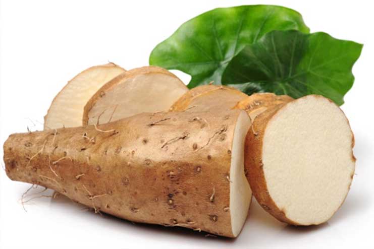 Wild Yam Extract