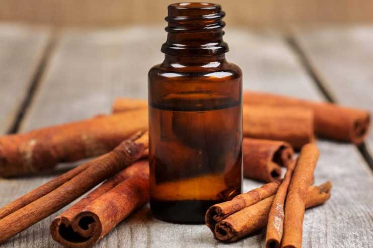 Cinnamon-Essential-Oil