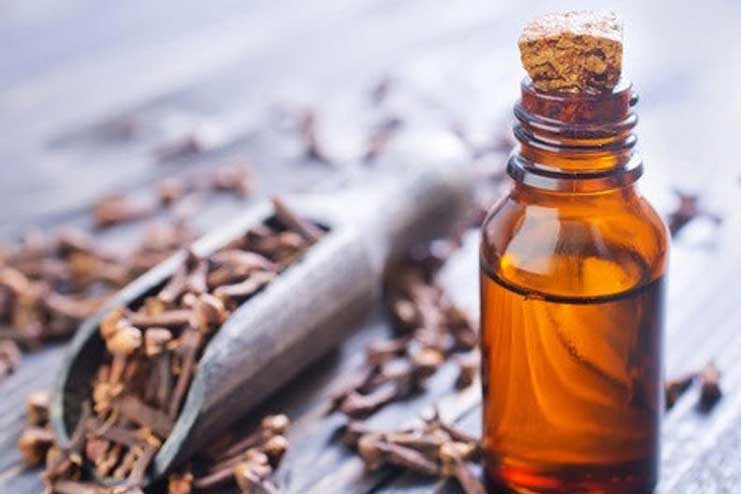 Clove-Essential-Oil