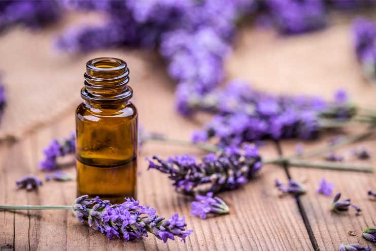 Lavender-Oil