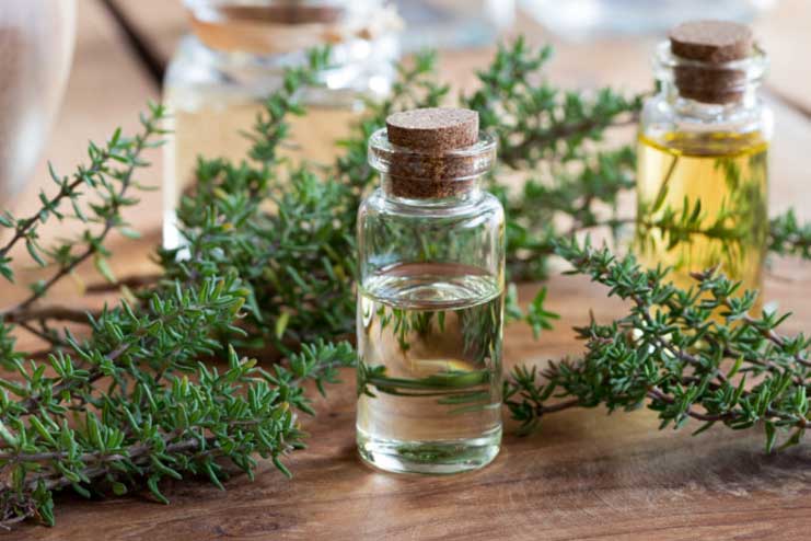 Thyme-Essential-Oil