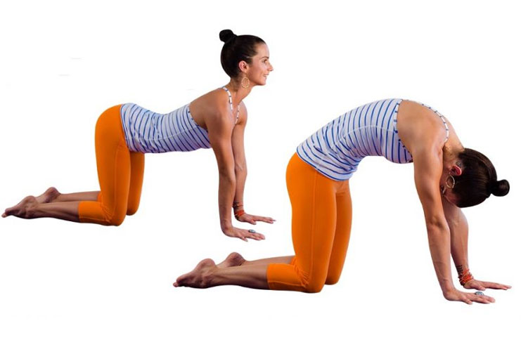 Bitilasana