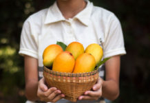 Homemade-Mango-Face-Packs