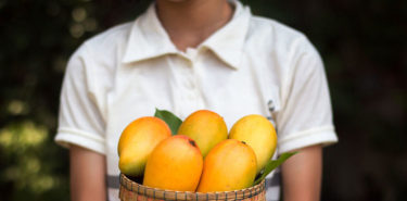 Homemade-Mango-Face-Packs