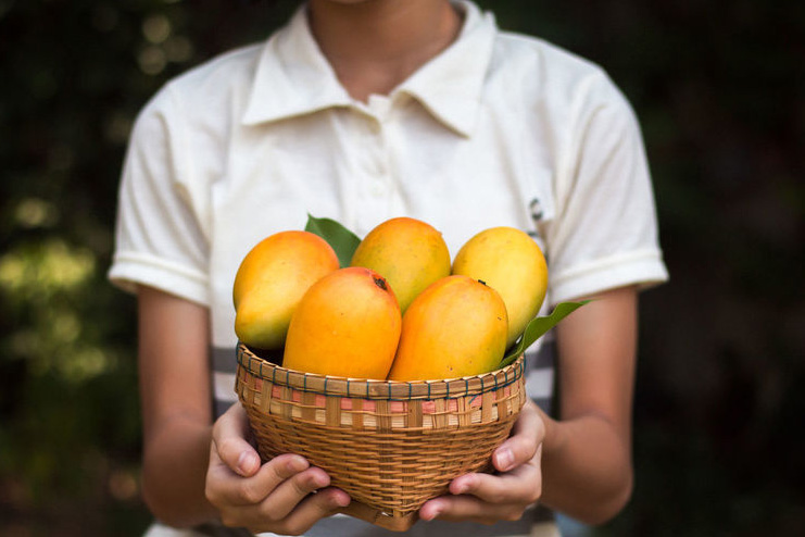 Homemade-Mango-Face-Packs
