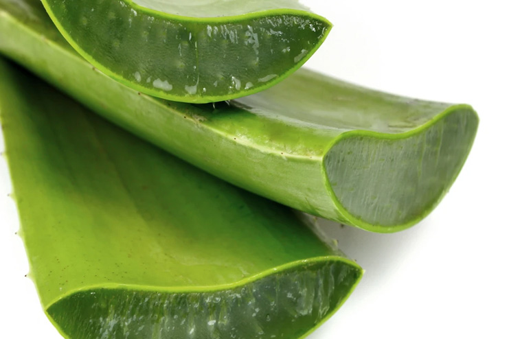 Aloe-vera-gel